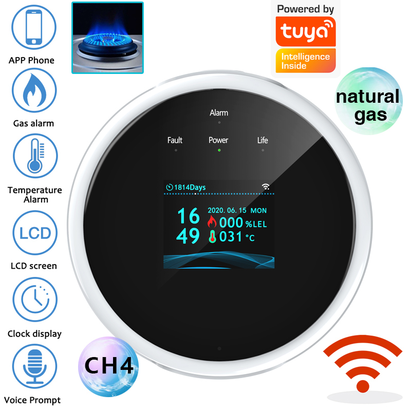 Czujnik gazu 2.4G WiFi, detekt – Smart Home Ecosystems recenzja i cena